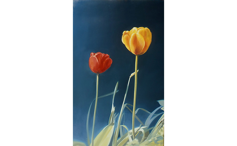 twee kleine tulpen III